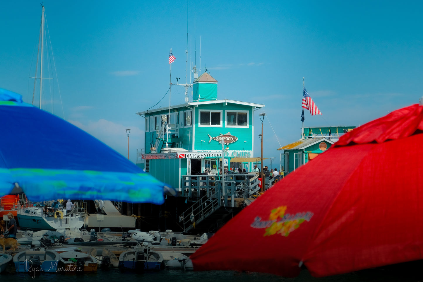 Afternoon at the Harbor