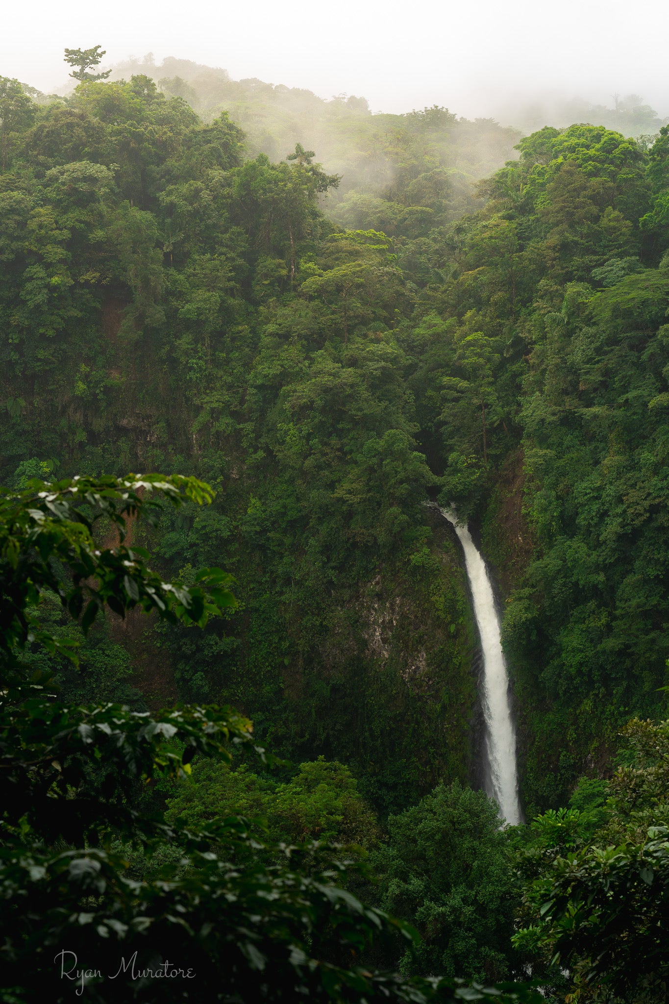 Valley of Mist