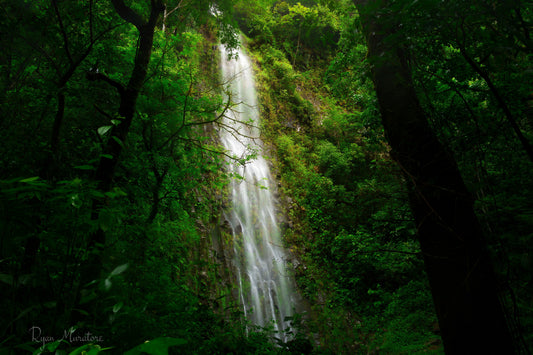 Hidden Cascade