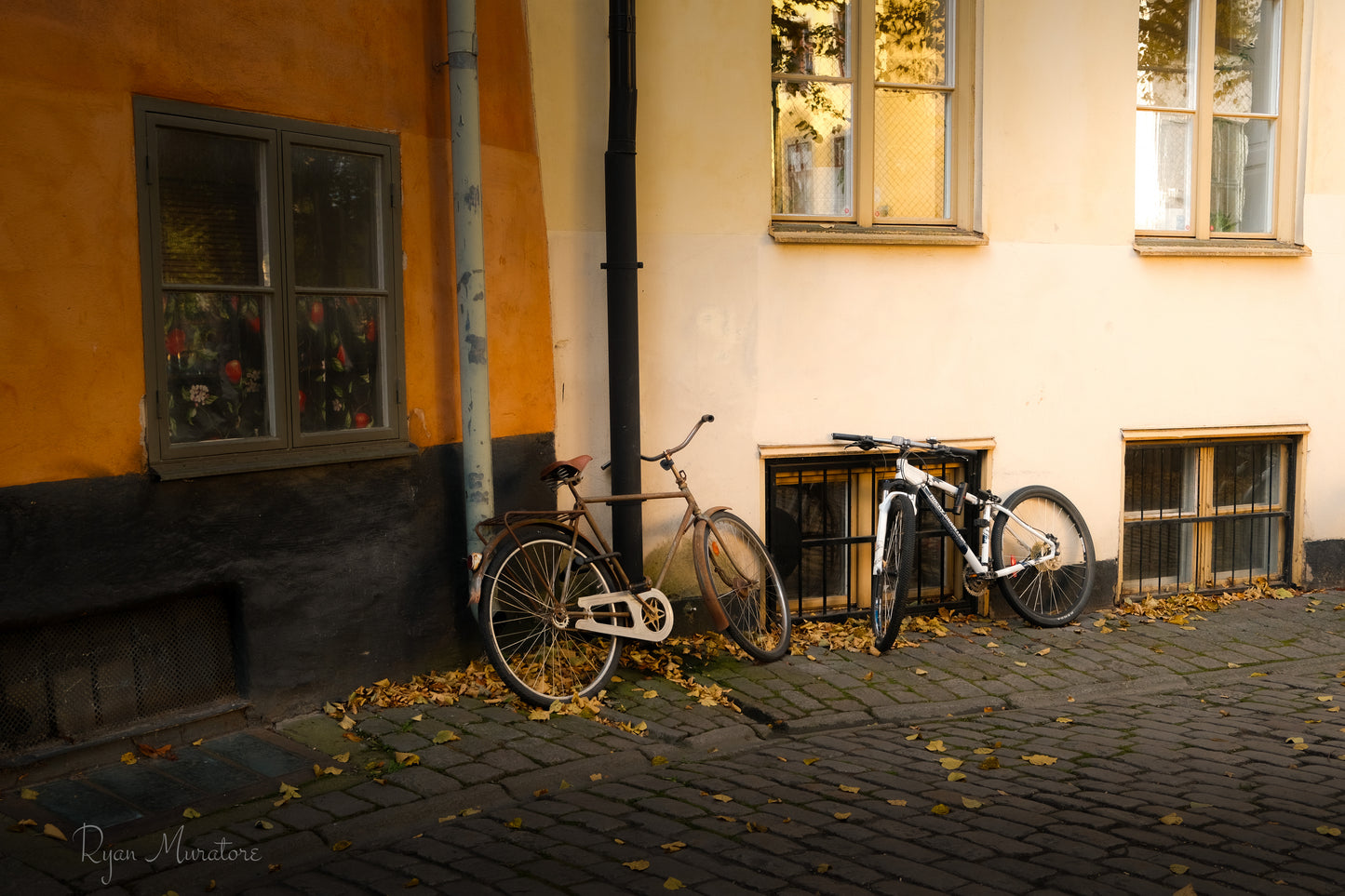 Autumn Alley