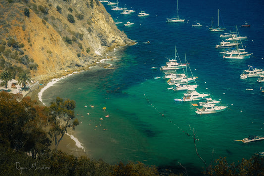 Cove